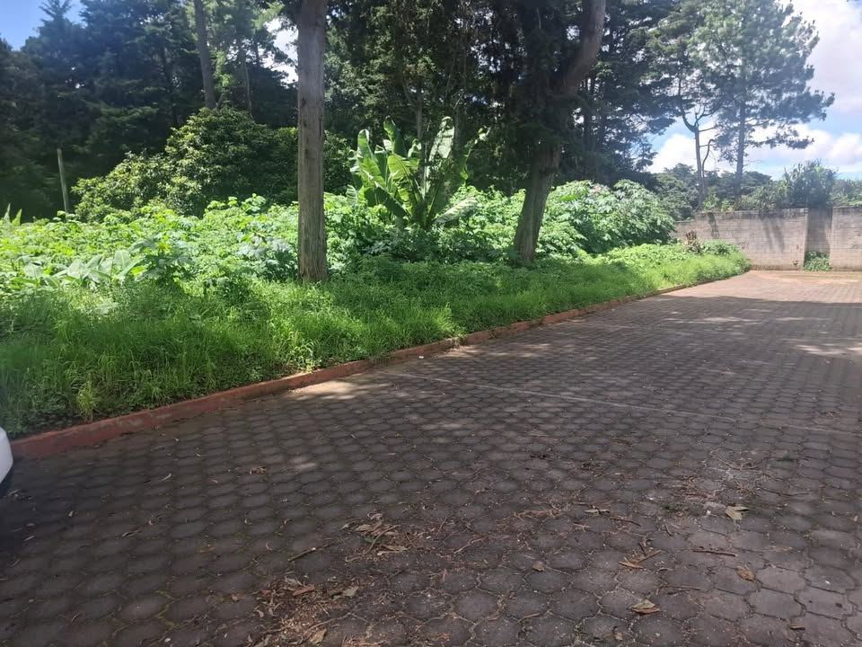 Vendo Terreno Amplio San José Escuintla, Apto Bodega y/o Predio Ingreso Transporte Pesado